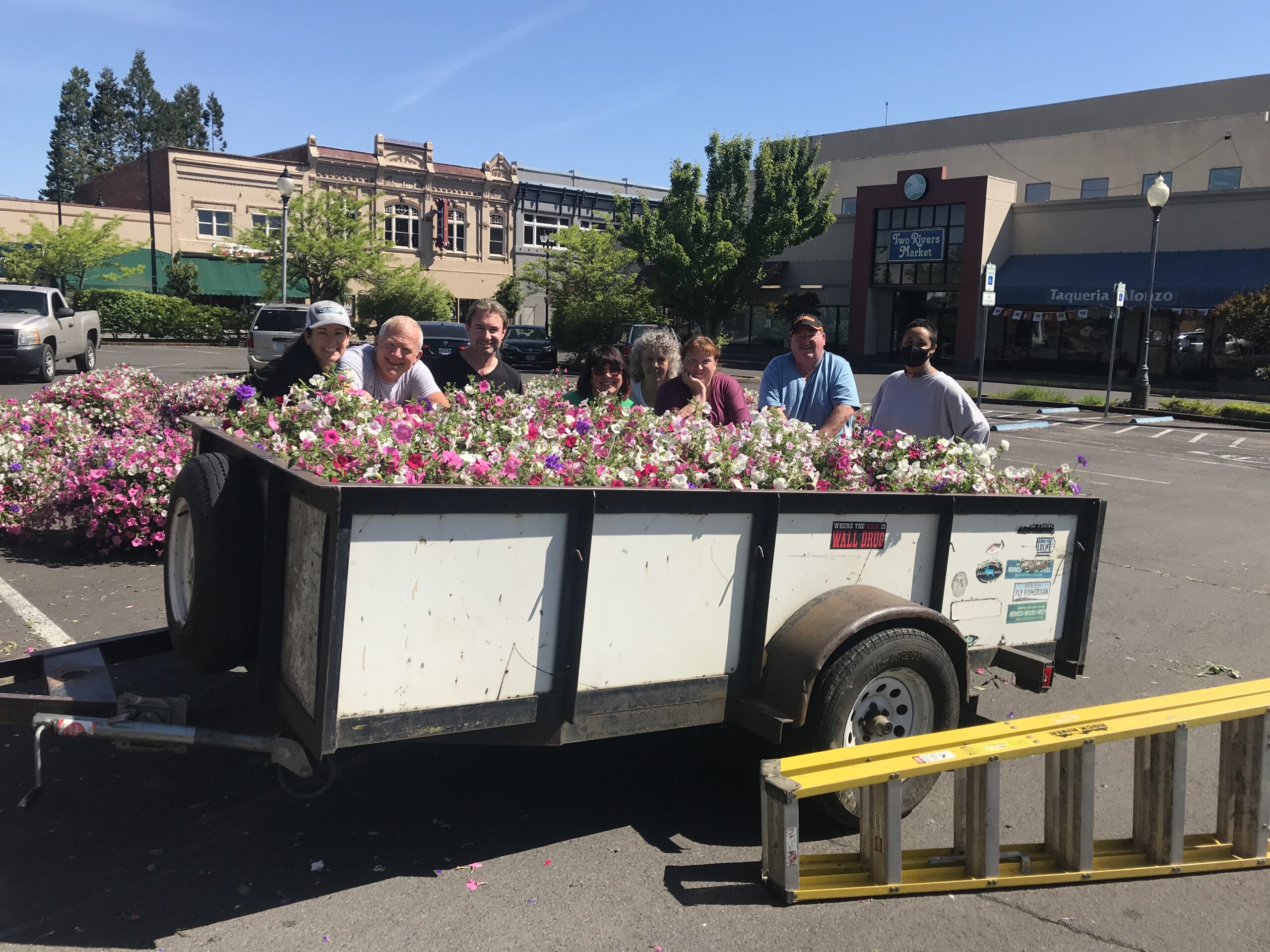 Downtown Flower Baskets Return on Sunday, May 19 Albany Downtown