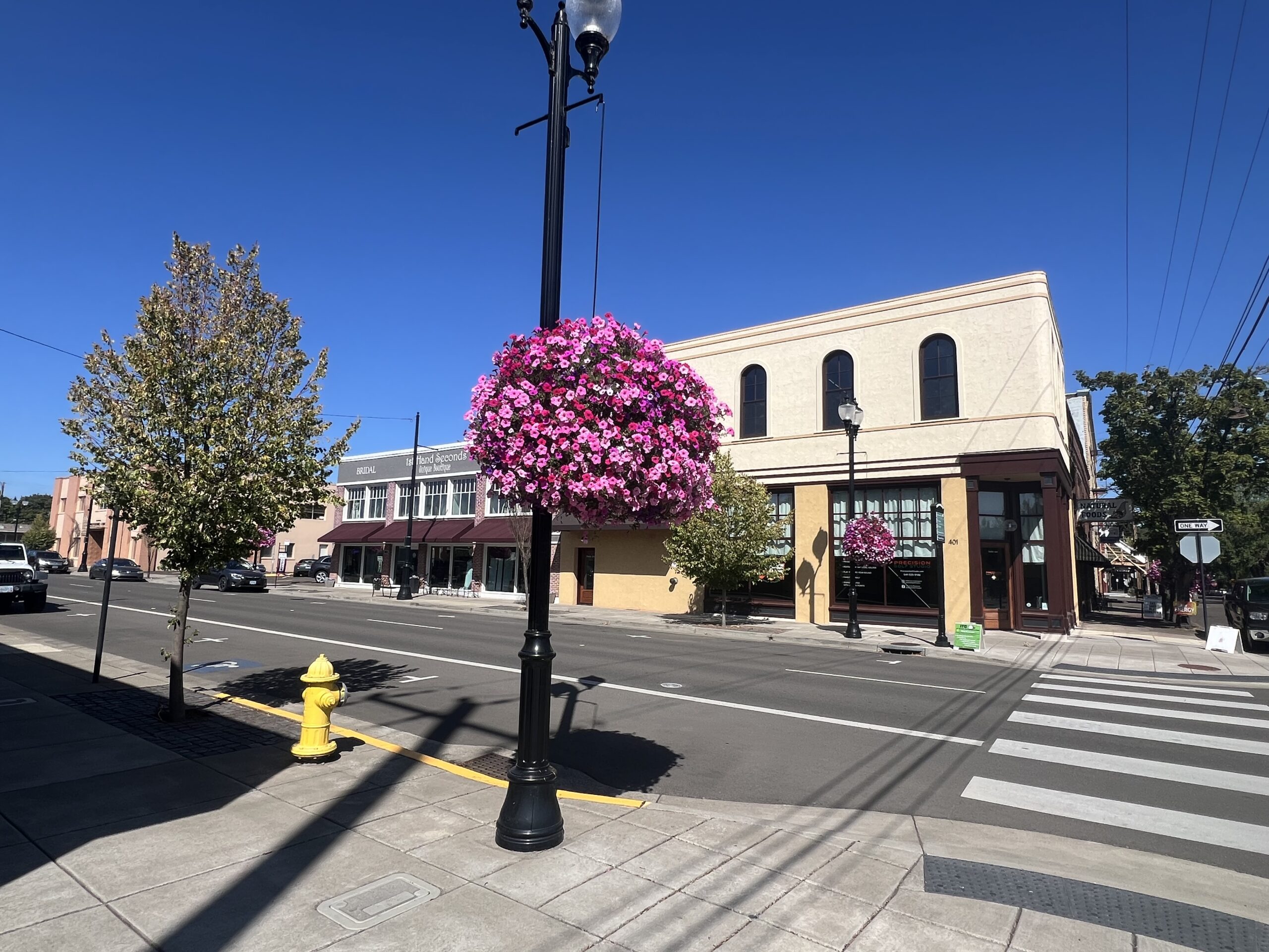Volunteers Needed for Flower Baskets Day on May 18