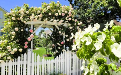 24th Annual Albany Garden Tour is June 14